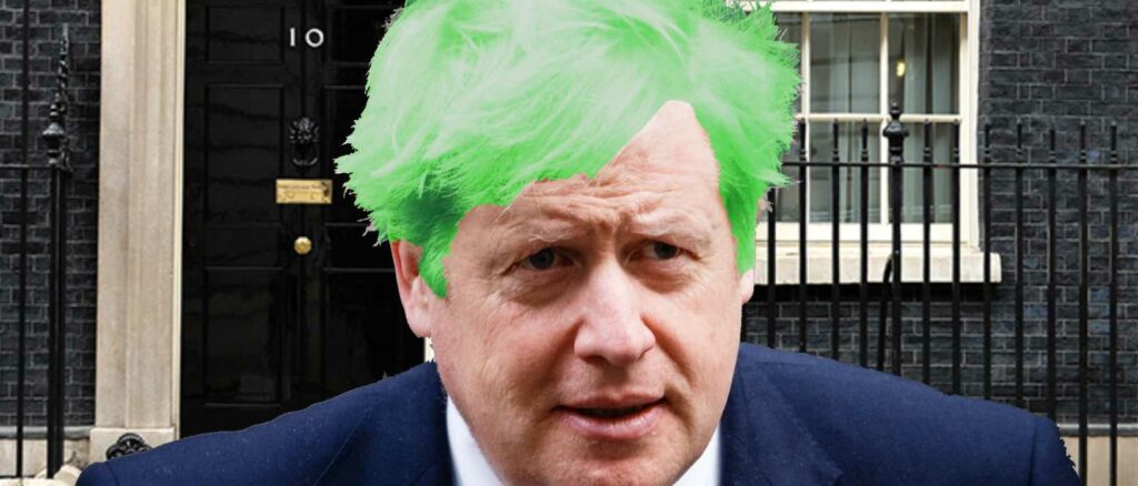BOJO Green