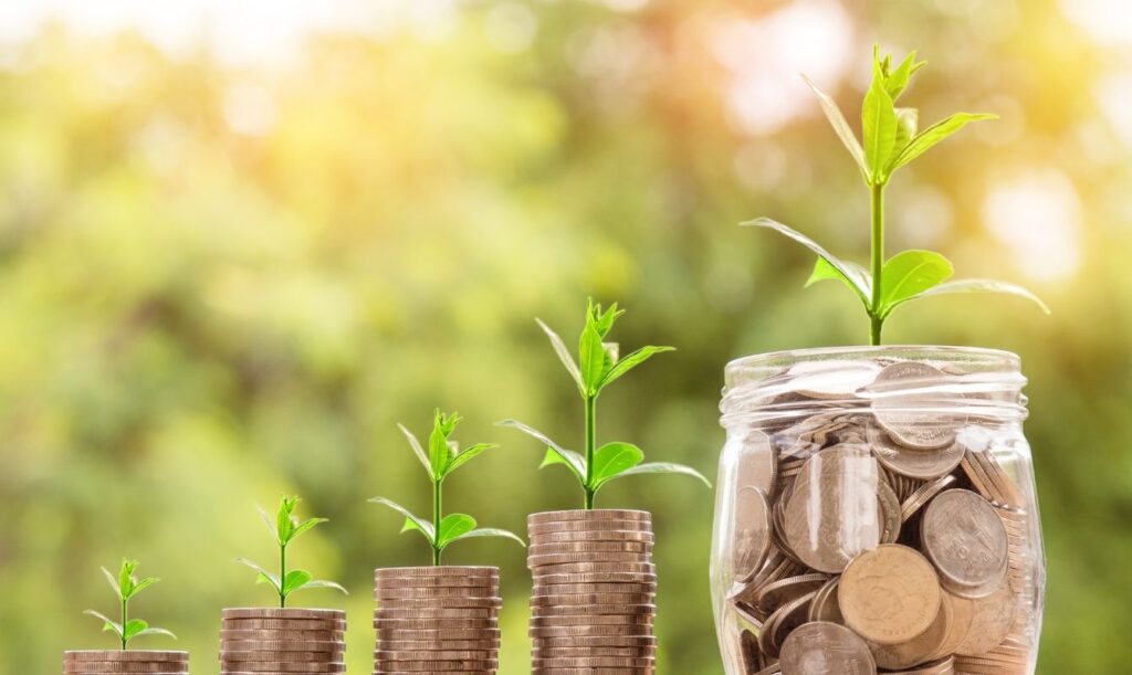 Money and the environment