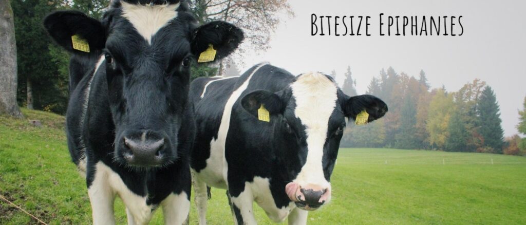 Header 32