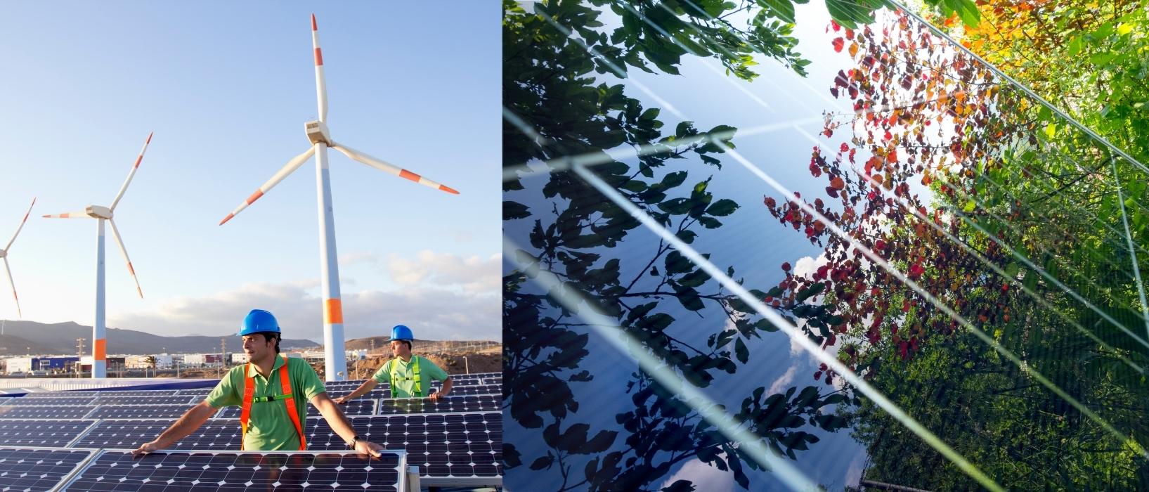 solar panel with leaves reflected and builders working on solar energy storage