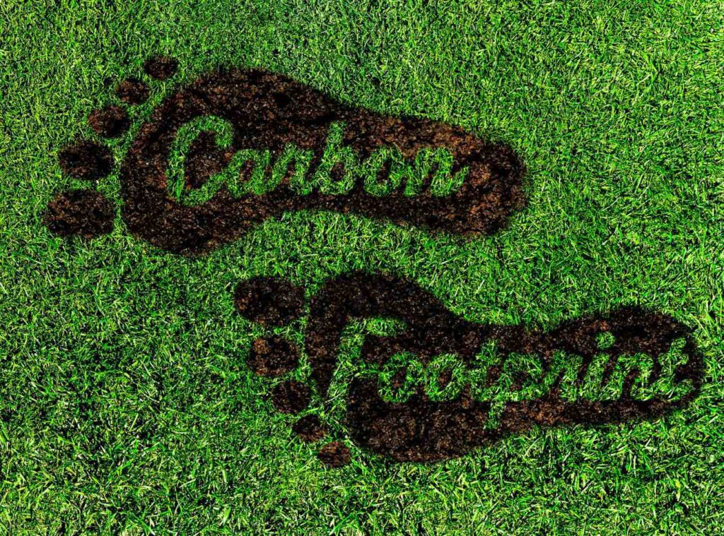 Carbon Footprints 1