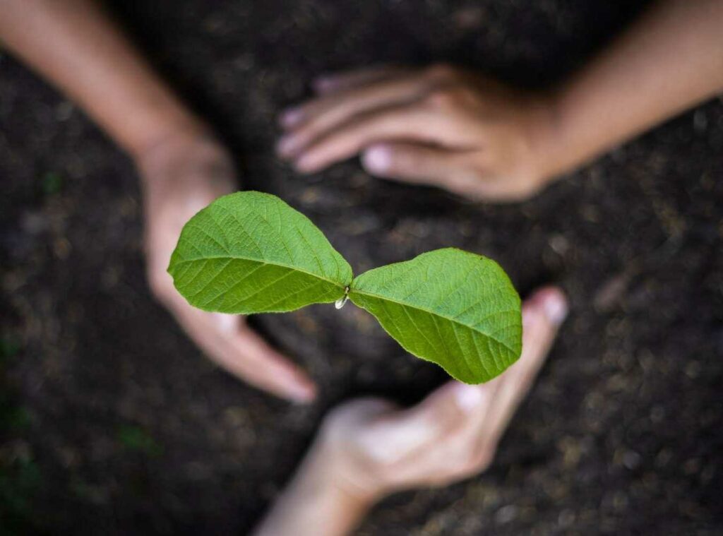 Climate Impact Booking invoice sent securely 1