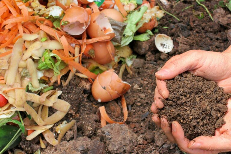 The Easiest Way To Go Green - Compost Your food waste