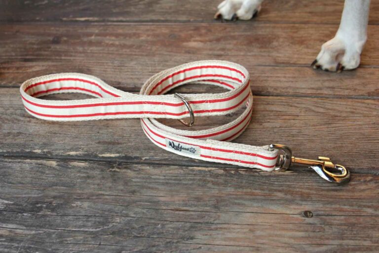 Walk your dog sustainably - Wigglywoos hemp dog lead is stylish and mould resistant