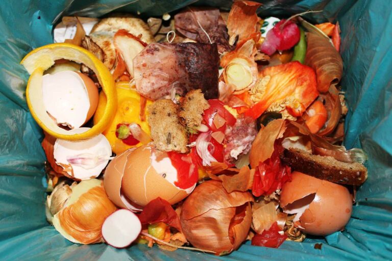 Compost Your food waste - Councils now charge for food waste bags and the waste has to be transported