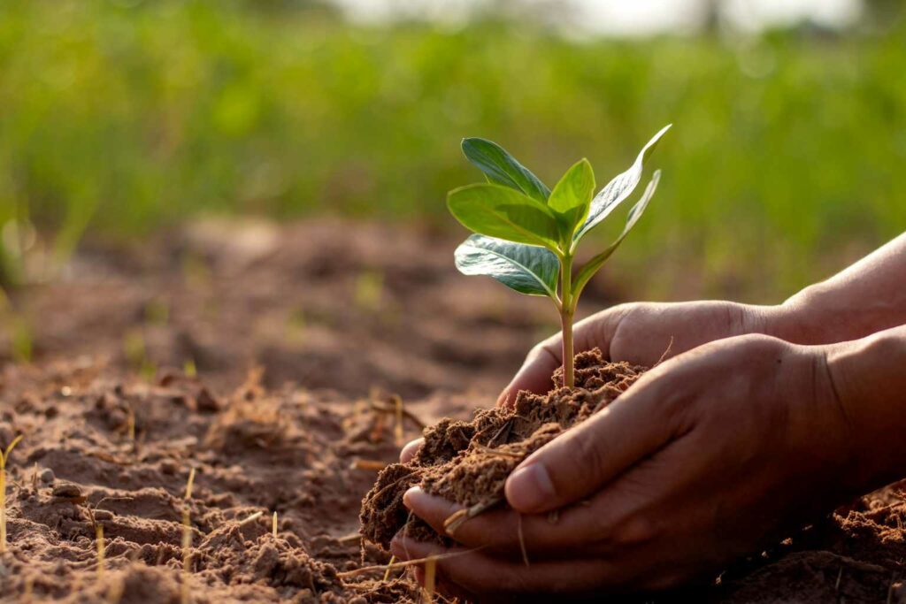Green Change Improving soil quality could improve food security and reduce climate change