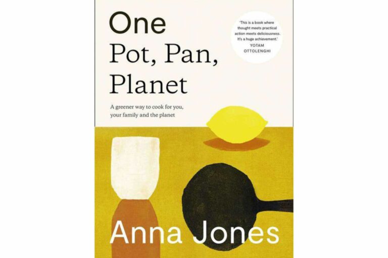 Sustainable Cookbooks One Pot, One Pan, One Planet by Anna Jones