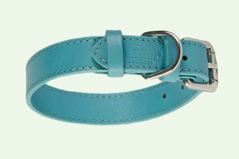 Sustainable Dog Collar - Baker & Bray Eco leather dog collar