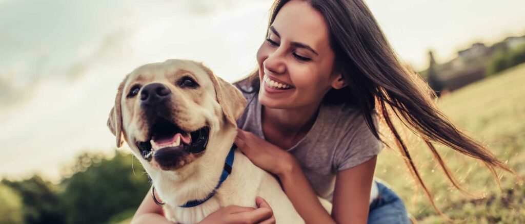 Sustainable Dog Collar Header