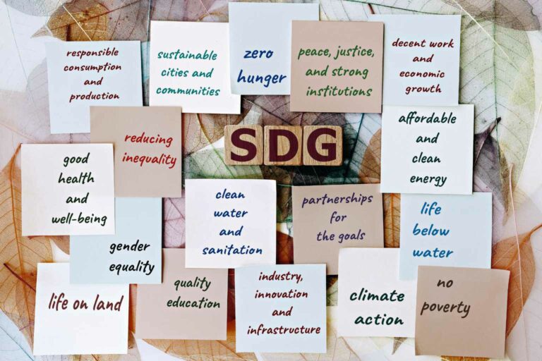 What is a Sustainability Plan A good sustainability plan can help support a number of UN Sustainable Development Goals