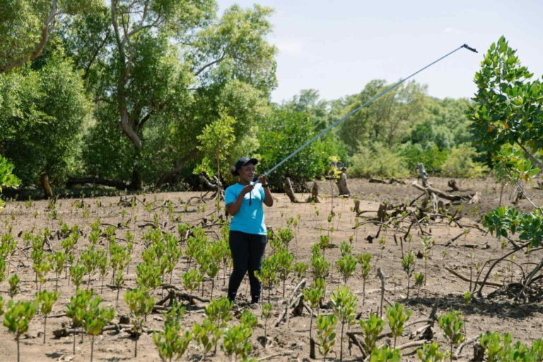 Social Impact and Carbon Calculation A tree planting partner employee using technology to create 3D maps of the mangroves which can be assessed by AI