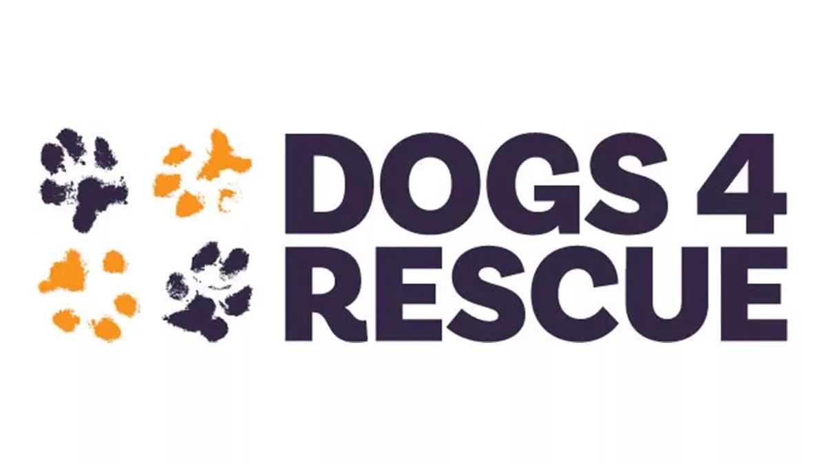 dogs4rescue fallback jpg