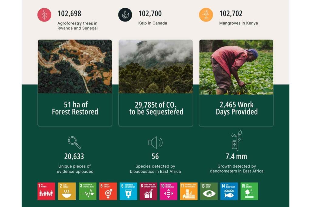 Nature Repair Report for January 2025 - Since partnering with Veritree our transparency and impact has grown significantly across two continents