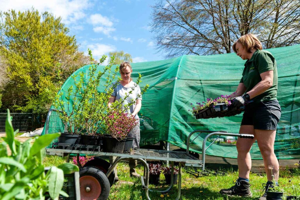 Minstead Trust - The trust combines supporting people with learning disabilities with protecting places of historical and environmental worth.
