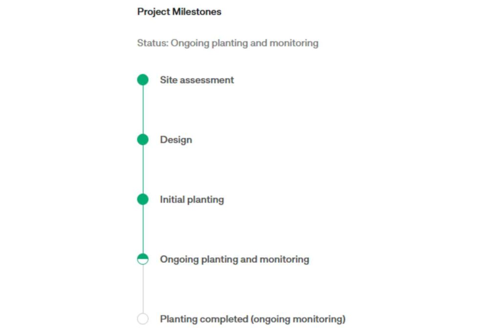 Nature Repair Report for March 2025 - Following s site assessment, our sea kelp planting is now an ongoing project and will continue to be monitored