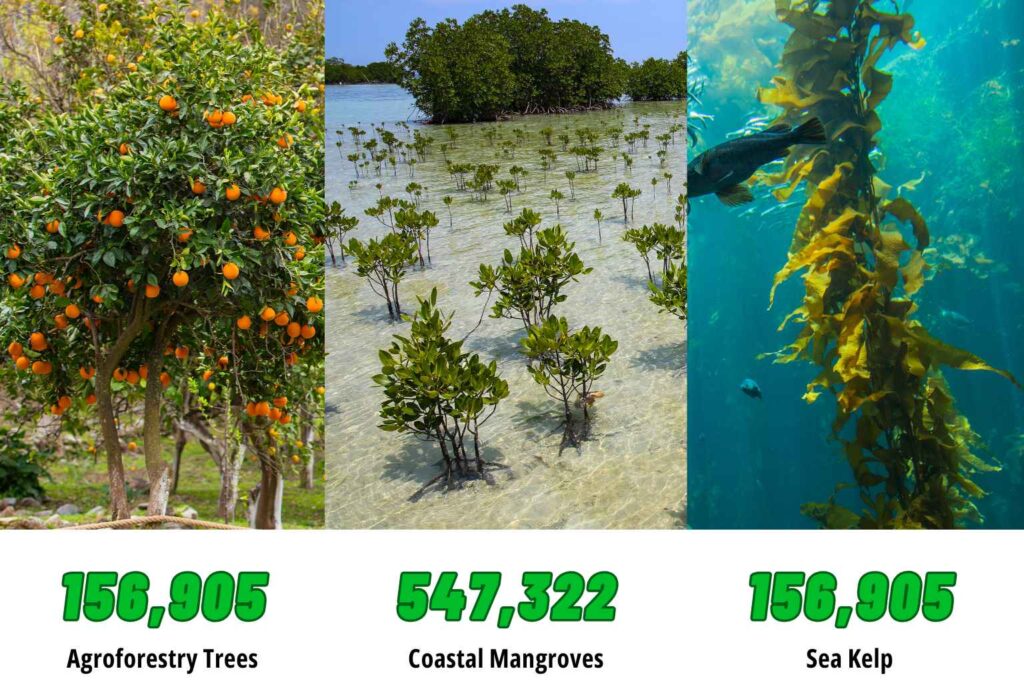 Nature Repair Report for June 2025 Impact Data