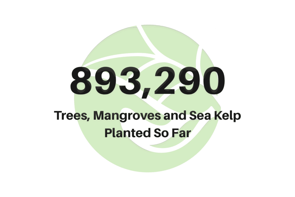 Nature Repair Report for July 2025 Thanks to Play It Green members we are heading for 1 million nature based solutions planted