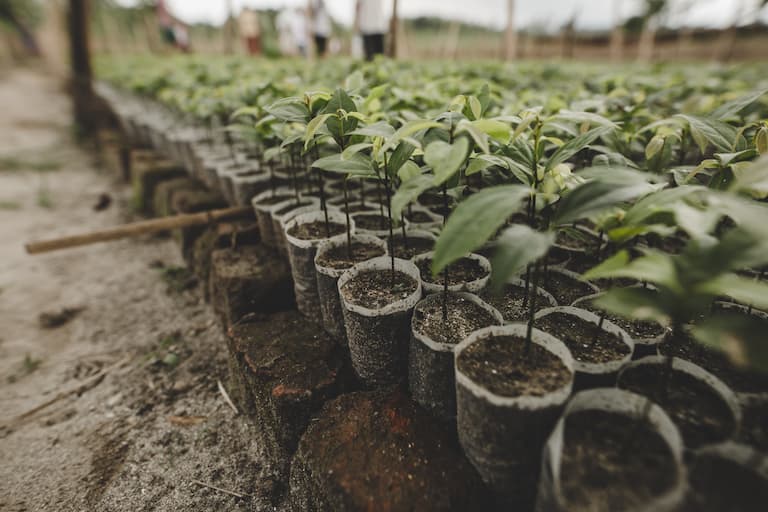 nature based solutions sm