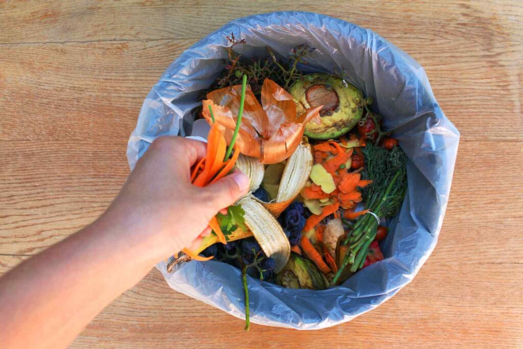 Food Waste - During December in the UK alone food waste surges 30% compared to the rest of the year