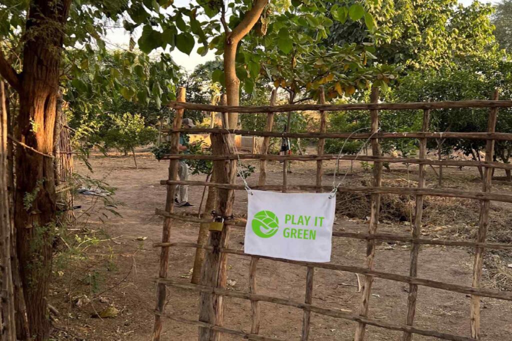Nature Repair Report 2025 - Senegal Agroforestry 6
