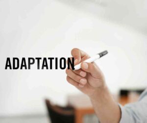 A Z of Sustainability The Letter A Adaptaion