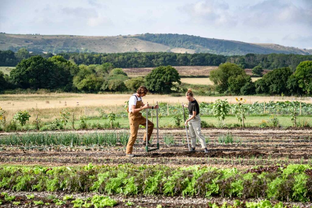 Sustainability News for 2026 - A widescale adoption of regenerative farming would reduce the environmental impact and increase food security