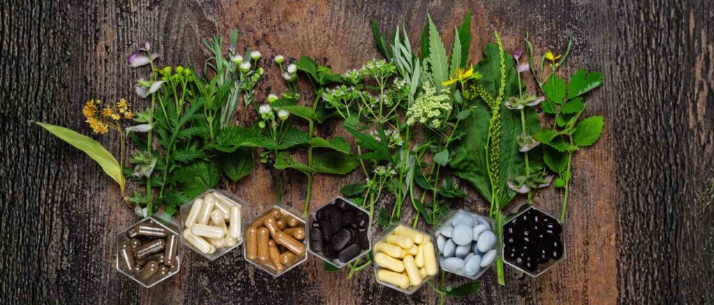 Sustainable Supplements Header