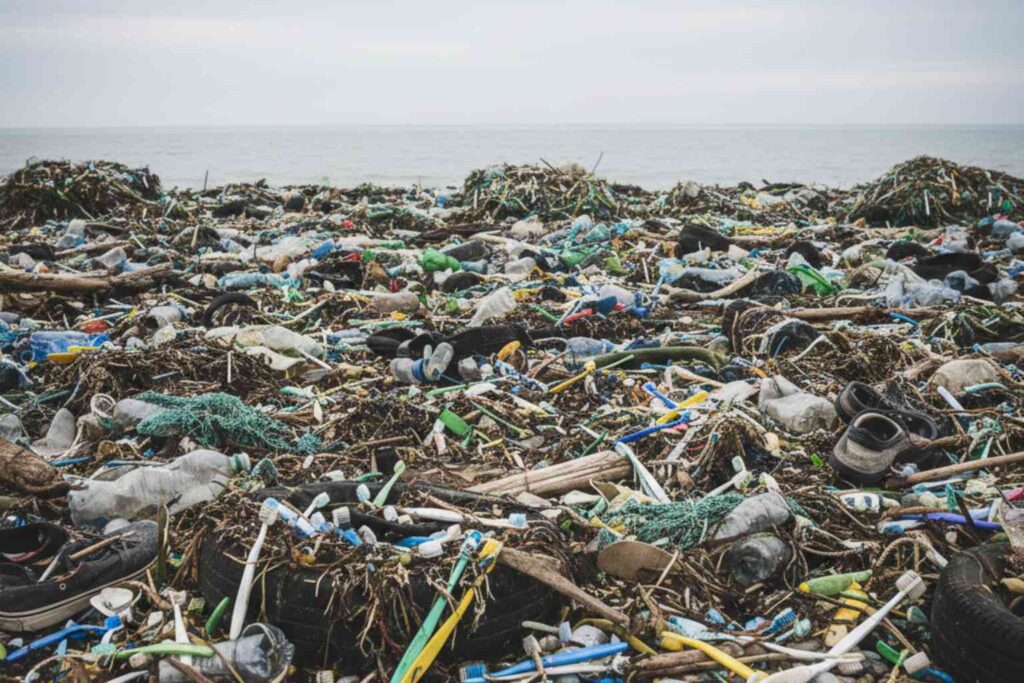 Eco-Friendly Toothbrushes - With billions thrown away every year your toothbrush is firmly in the plastic problem category