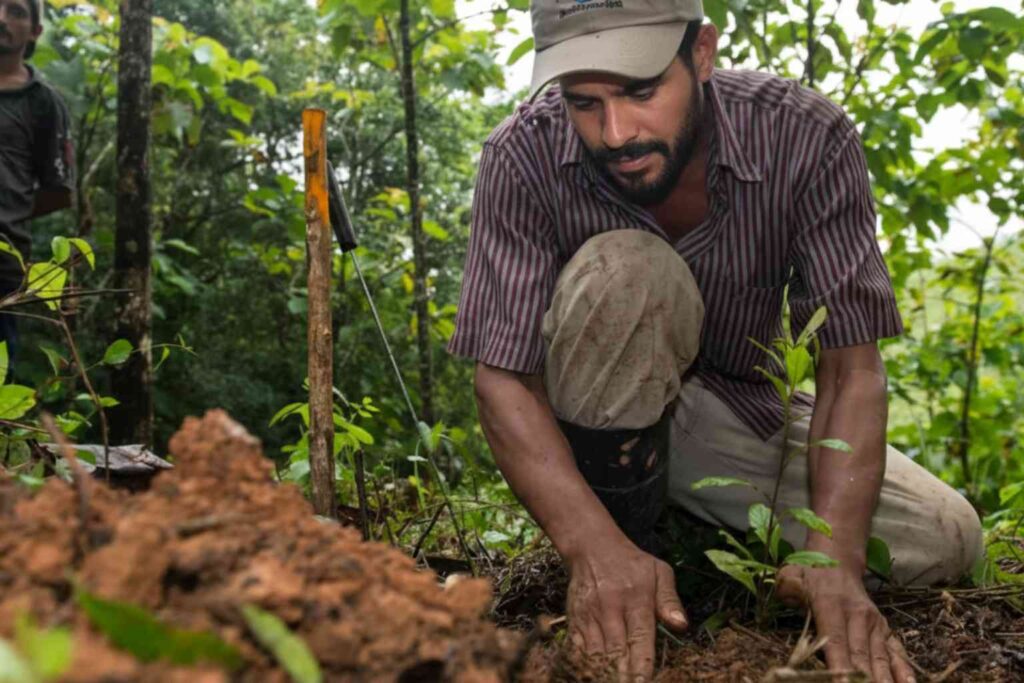 Sustainability News for February 2nd - Microsoft and Salesforce have invested heavily in carbon removal including Nature Based Solutions that have a social impact