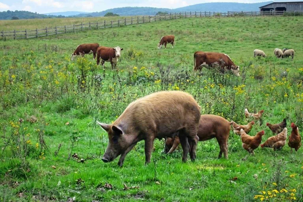 Sustainability News for February 2nd - Rewilding at the Knepp Estate in Sussex has seen a huge increase in birds, insects and wildlife, up to an incredible 900%