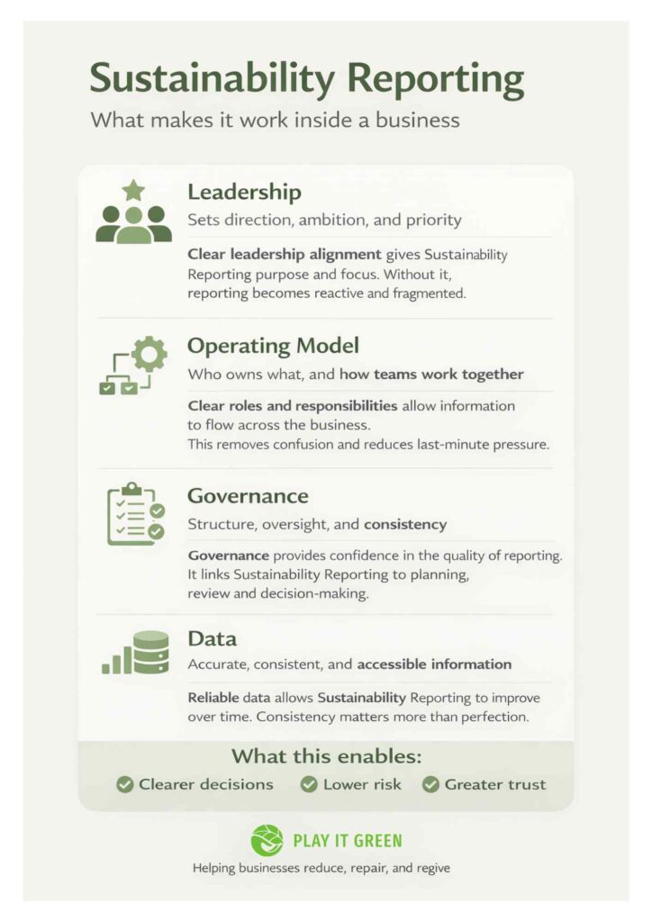 Sustainability Reporting Infographic