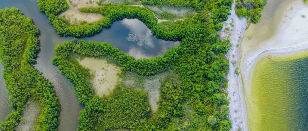Nature-Based Solutions Header