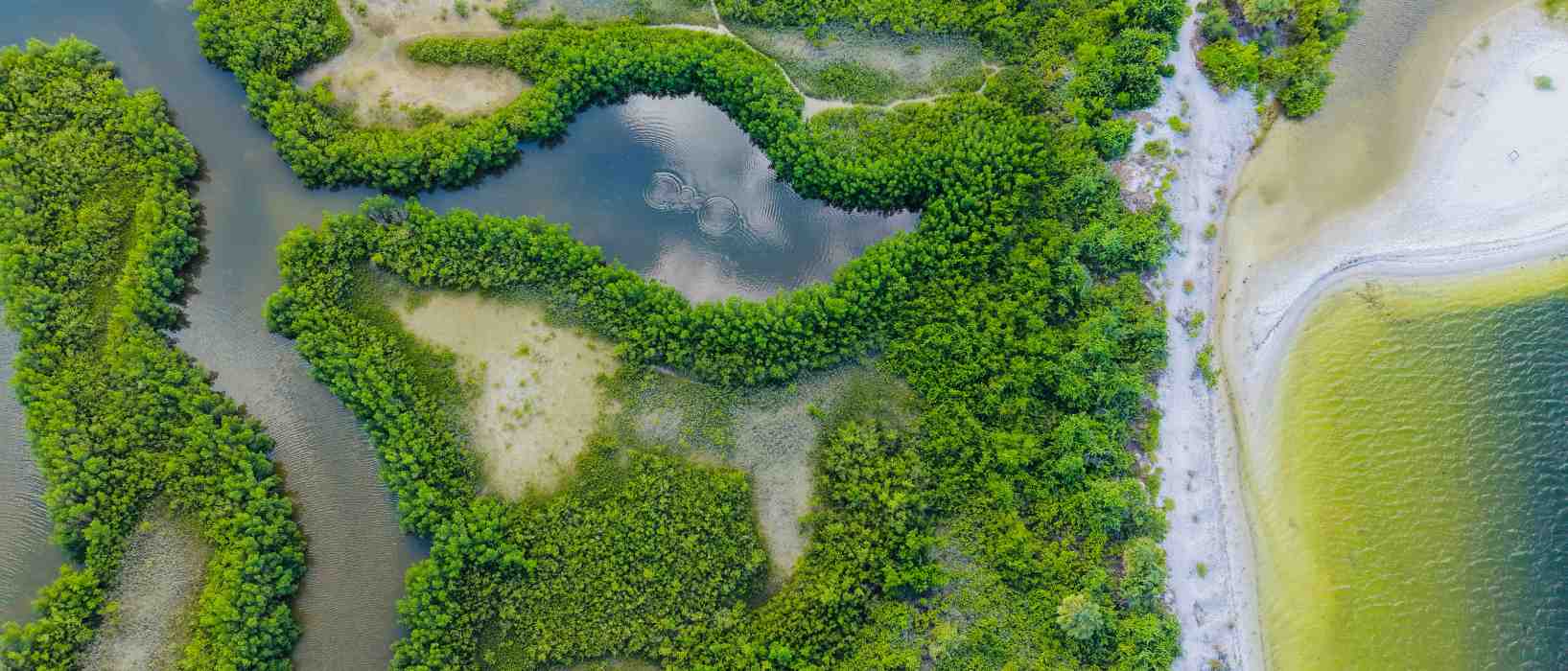 Nature-Based Solutions Header