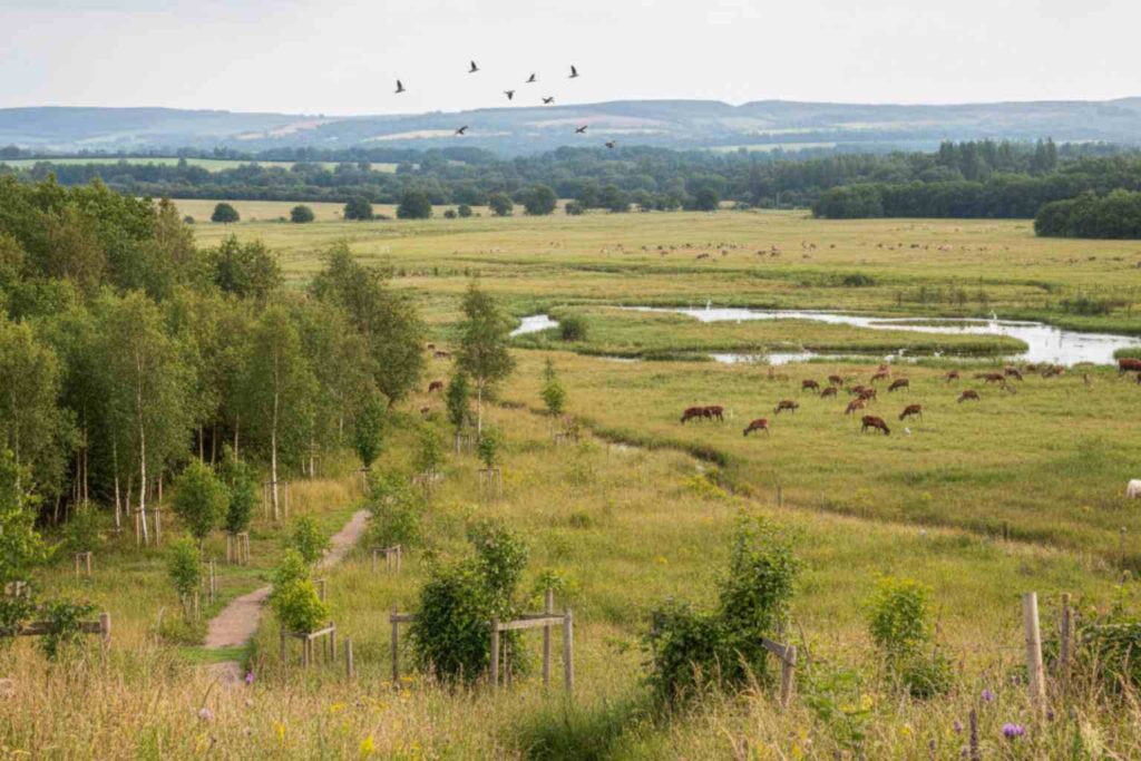 Sustainability News for February 23rd - The national trust has set out plans to restore over 250,000 hectares of land by 2035