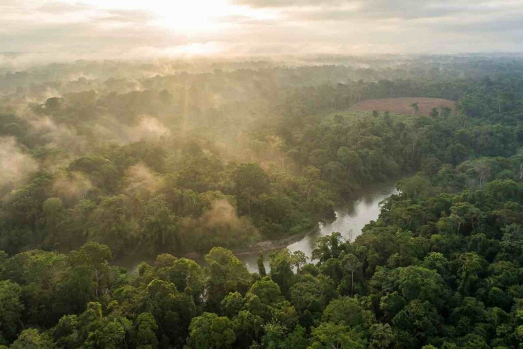 Sustainability News for March 2nd - Columbia is on course to reduce deforestation for another year due to government and NGO interventions