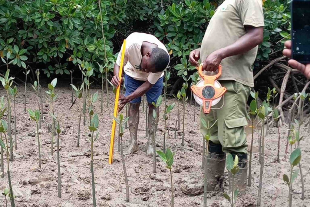 Nature Repair Report June 2026 - Long term protection, measurement and data analysis mean the planting is where our nature repair starts adding many layers of transparency