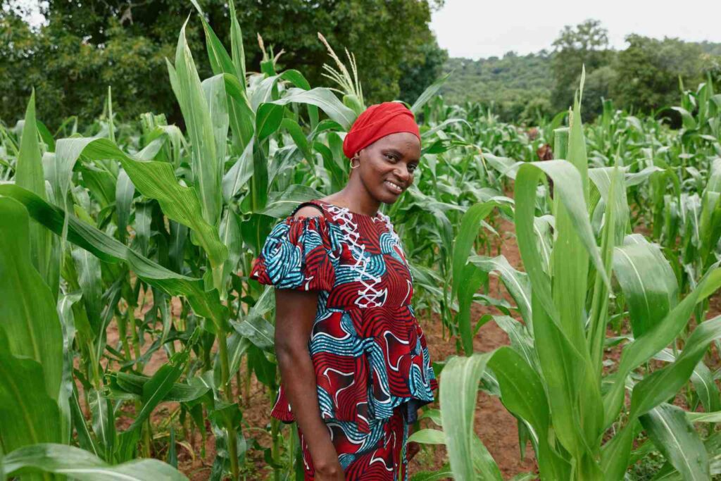 Nature Repair Report June 2026 - The agroforestry work our community supports creates a large number of positive community benefits as well as repairing nature and absorbing carbon