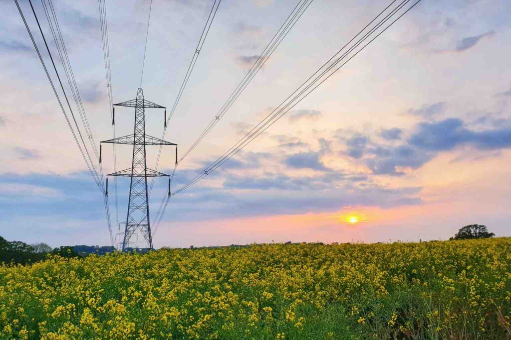 Sustainability News for June 29th - National Grid is now looking to tie nature repair into the growth of the network and deliver at least 10% net gain in significant infrastructure projects