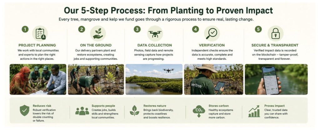 Nature Repair Report August 2026 Infographic