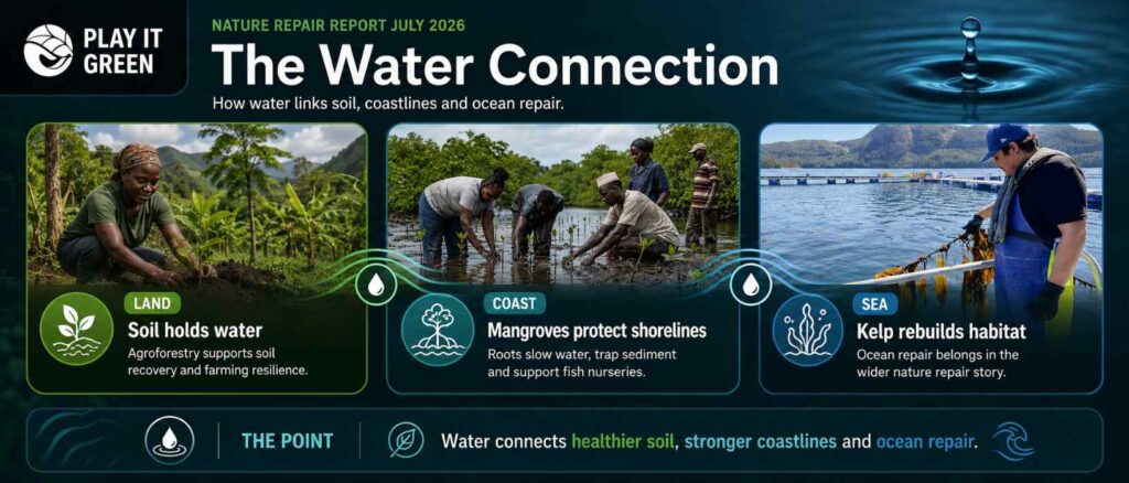 Nature Repair Report July 2026 Infographic