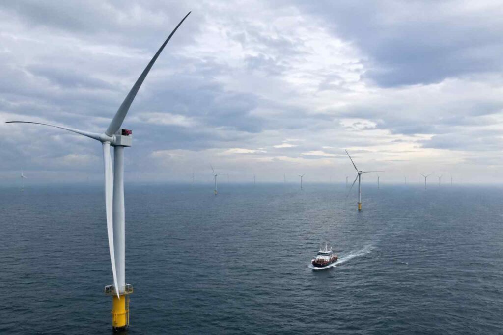 Sustainability News for August 10th - Good Energy has committed to the long term purchase of renewable energy enough to power 74,000 homes annually