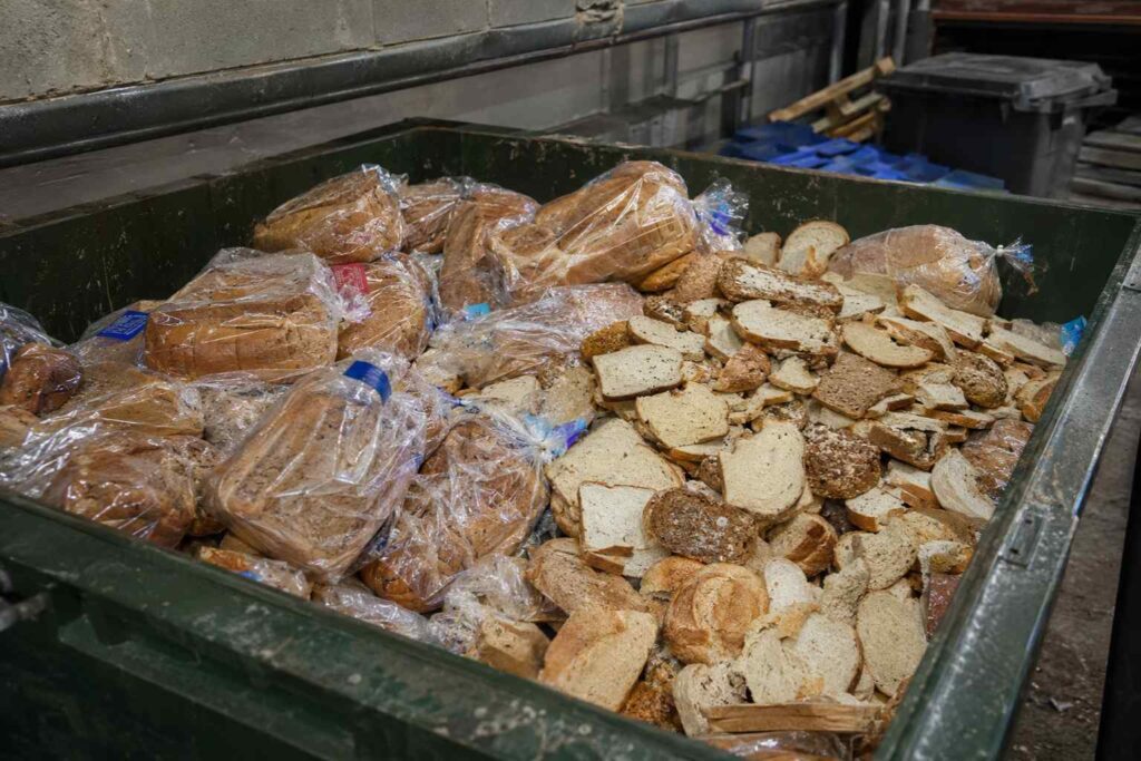 Sustainable Bread - It is estimated that in the UK alone, the euqivalant of 1.2 million loaves of bread are thrown away every single day