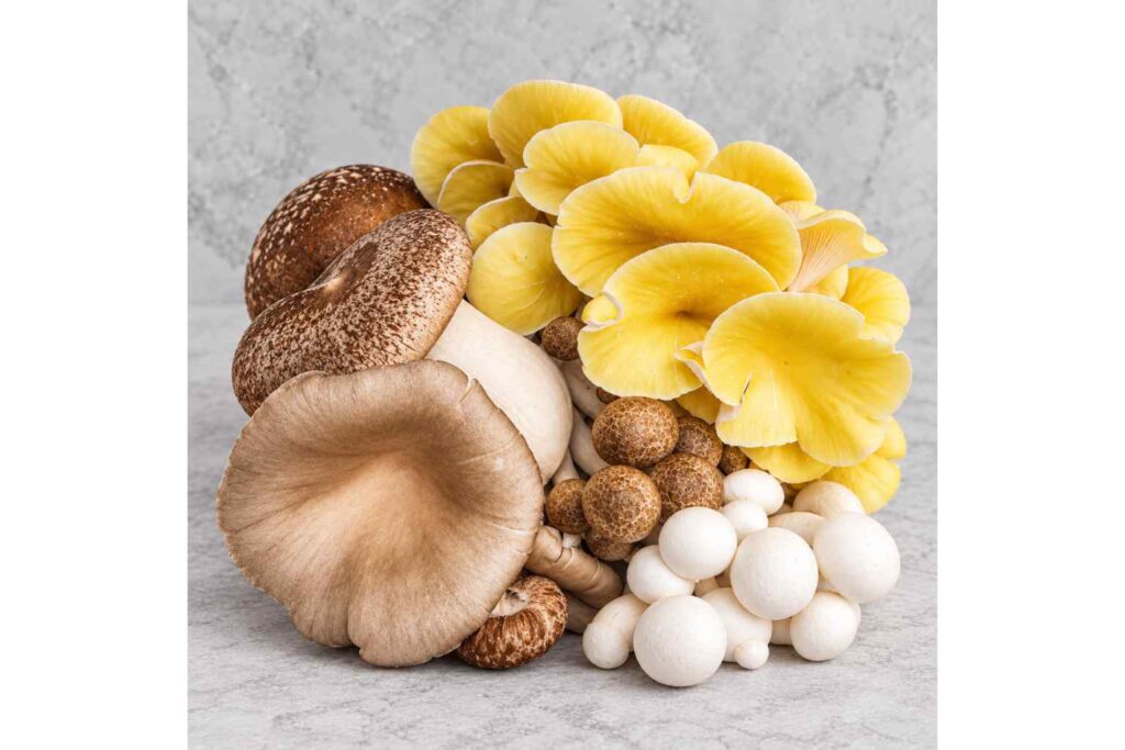 Sustainable Mushrooms - Forest Fungi