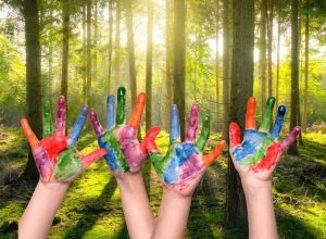 Climate Impact Bookings Forest Garden