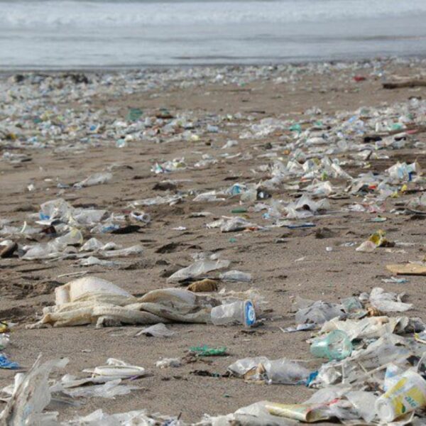 Plastic Beach Waste