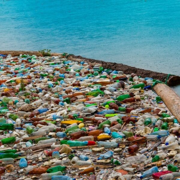 Plastic Bottles by the sea